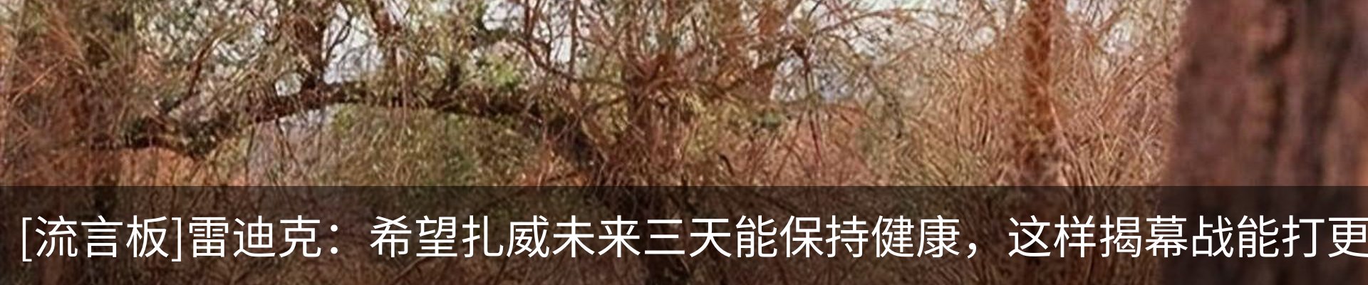 资讯中心